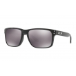 HOLBROOK - POLISHED BLACK - PRIZM BLACK - OO9102-E155