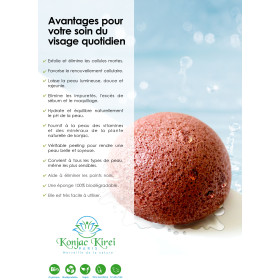 EPONGE VISAGE - ARGILE VERT - KONJAC KIREI PARIS