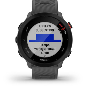 GARMIN Forerunner 55 Grise Monterra - Montre GPS Running