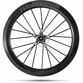 Lightweight FERNWEG 63 EVO PRO DISC SCHWARZ Edition TITANIUM BLACK - Paire de Roues Lightweight freinage à disques