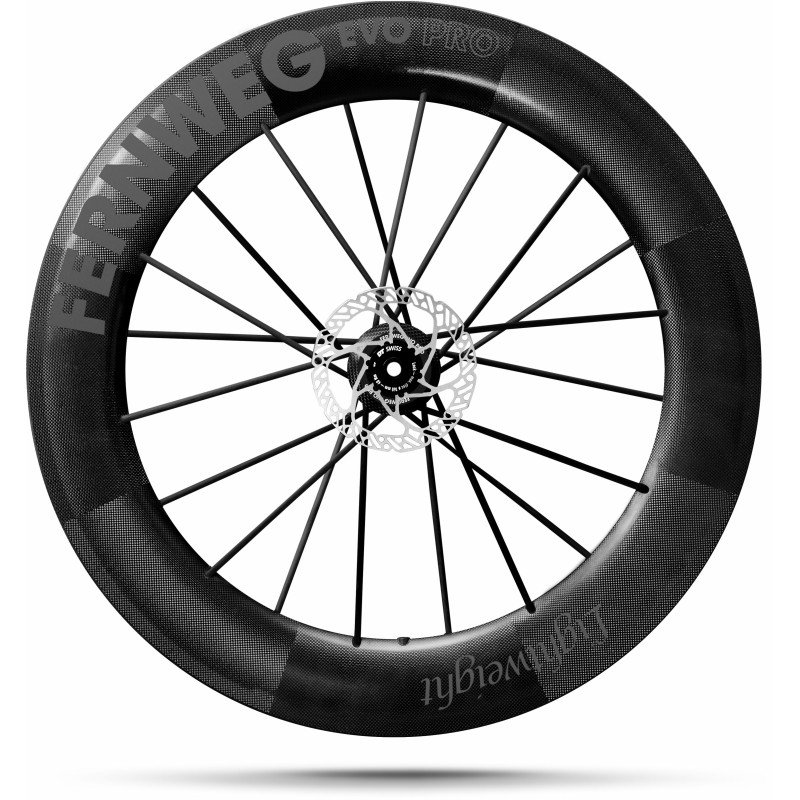 Lightweight FERNWEG 85 EVO PRO DISC SCHWARZ Edition TITANIUM BLACK - Paire de Roues Lightweight freinage à disques | Planetecycle