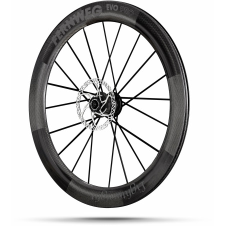 Lightweight FERNWEG 63 EVO PRO DISC SCHWARZ Edition TITANIUM BLACK - Paire de Roues Lightweight freinage à disques | Planetecycle