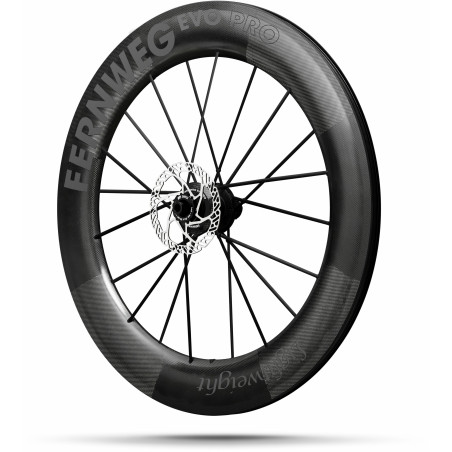 Lightweight FERNWEG 85 EVO PRO DISC SCHWARZ Edition TITANIUM BLACK - Paire de Roues Lightweight freinage à disques | Planetecycle