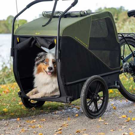 Remorque XLC BS-C13 REMORQUE pour ANIMAUX GRAND - VERT-NOIR | Planetecycle