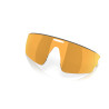 Verres Prizm 24k pour Oakley Meta Vanguard (Replacement Lens)