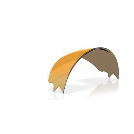 Verres prizm 24k Oakley Meta Vanguard Replacement Lens | Planetecycle